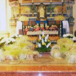 Sepolcri semigermogliati