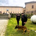 Controlli dei Carabinieri