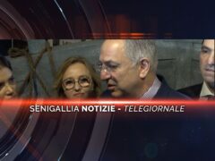 senigallia notizie telegiornale