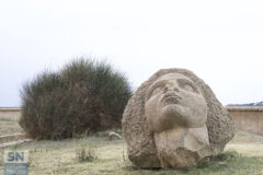 Uno sguardo al cielo - Foto Massimo Riminucci