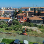 Pini abbattuti alla Fondazione Città di Senigallia in via Cellini