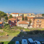 Pini abbattuti alla Fondazione Città di Senigallia in via Cellini