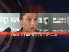 senigallia notizie telegiornale
