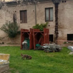 Lavori alla galleria Expo-Ex