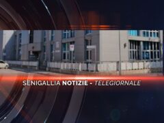 senigallia notizie telegiornale