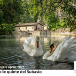 Dietro le quinte del Subasio