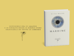 Locandina del romanzo "Mardime"