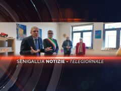senigallia notizie telegiornale