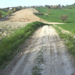 Strada Scornabecco, a Scapezzano di Senigallia