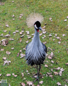 Passeggiata a Nidastore - Foto Berico Predieri
