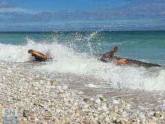 Mareggiate - Foto Cristina Giachè