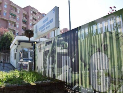 INRCA - Istituto Nazionale Riposo e Cura per Anziani - Ancona