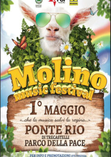 Molino Music Festival 2025