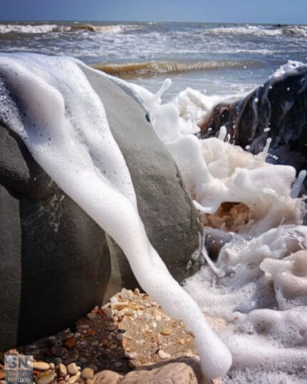 Spuma di mare - Foto Cristina Giachè