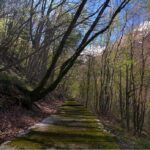 Valle dell'Acquasanta