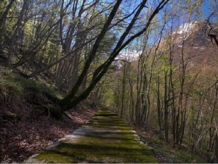 Valle dell'Acquasanta