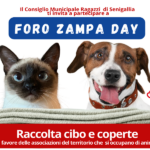 Foro Zampa Day