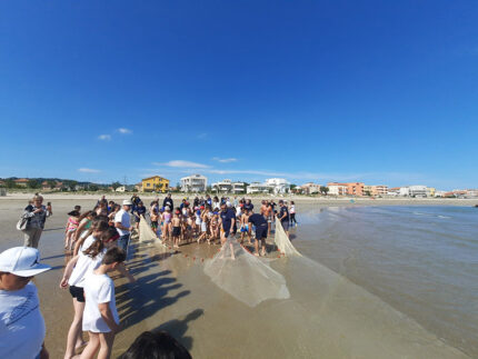 Rievocazione della Tratta a Cesano di Senigallia
