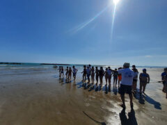 Rievocazione della Tratta a Cesano di Senigallia