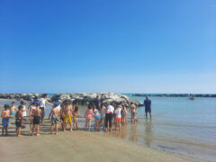 Rievocazione della Tratta a Cesano di Senigallia