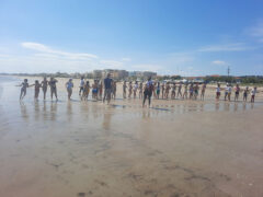 Rievocazione della Tratta a Cesano di Senigallia