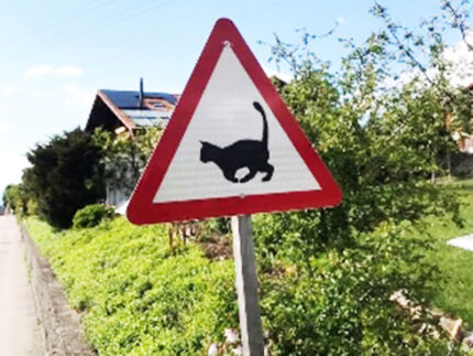 Segnale stradale presenza colonia felina