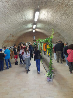 A lezione con il Duca