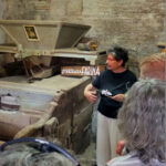 Active Valley. L'evento di Monterado/Trecastelli Active Valley. L'evento di Monterado/Trecastelli