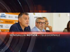 senigallia notizie telegiornale