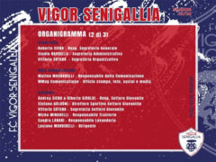 Vigor Senigallia - Organigramma 2025/26