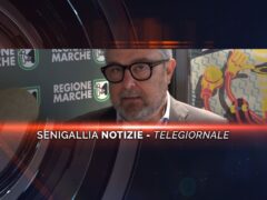 senigallia notizie telegiornale
