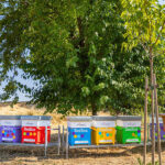 Casette per api nel Bosco di Fonte Mora