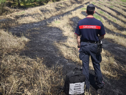 Incendio di vegetazione a Corinaldo