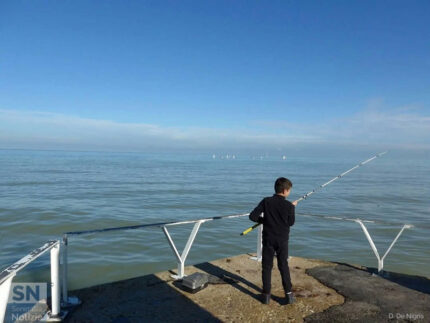 Fuga di giugno - Foto Daniele De Nigris