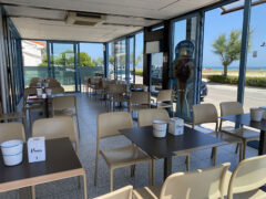 Gelateria Il Pinguino Senigallia - Gelato artigianale e cocktail bar