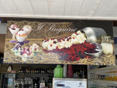 Gelateria Il Pinguino Senigallia - Gelato artigianale e cocktail bar