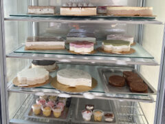 Gelateria Il Pinguino Senigallia - Torte gelato artigianali