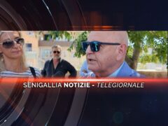 senigallia notizie telegiornale