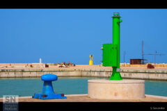 Colori nel porto - Foto Simone Secondini