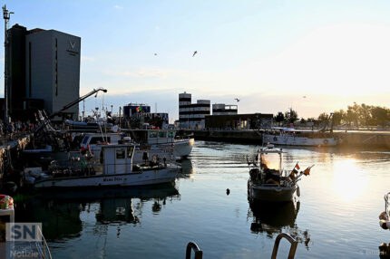 Rientro al porto - Foto Sabina Bittoni