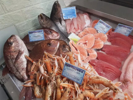 Pescato e Mangiato - Pescheria a Senigallia - Ristorazione, ingrosso, dettaglio