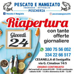 Pescato e Mangiato - Riapertura il 24 luglio 2025 per la pescheria di Senigallia