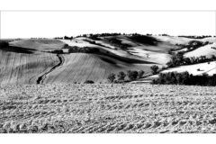 Davide Maglio, I segni dell'uomo sul paesaggio, 2024