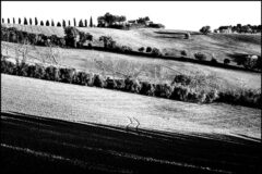 Aristide Salvalai, i segni dell'uomo sul paesaggio