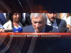 senigallia notizie