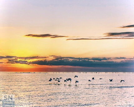 Verso una nuova alba - Foto Rita Zingaretti
