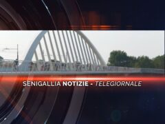 senigallia notizie telegiornale