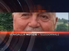 senigallia notizie telegiornale