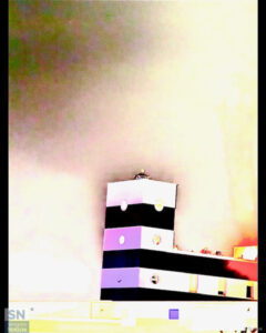 Sfumature rosa in bianco e nero - Foto Barbara Brusoni