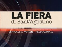 senigallia notizie telegiornale